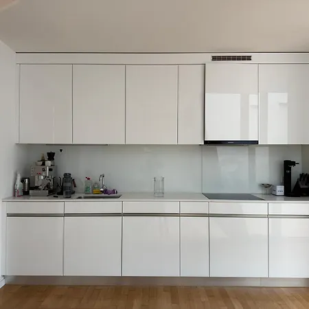 公寓 Zurich City Appartement 苏黎世